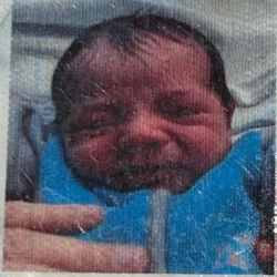 Armentano Pont Rocco